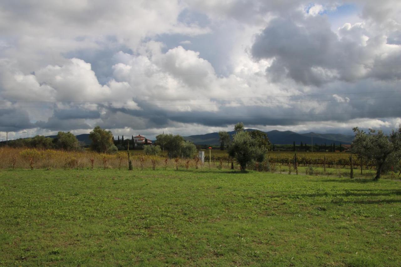 Podere Campo Alle Serpi 毕博纳 外观 照片