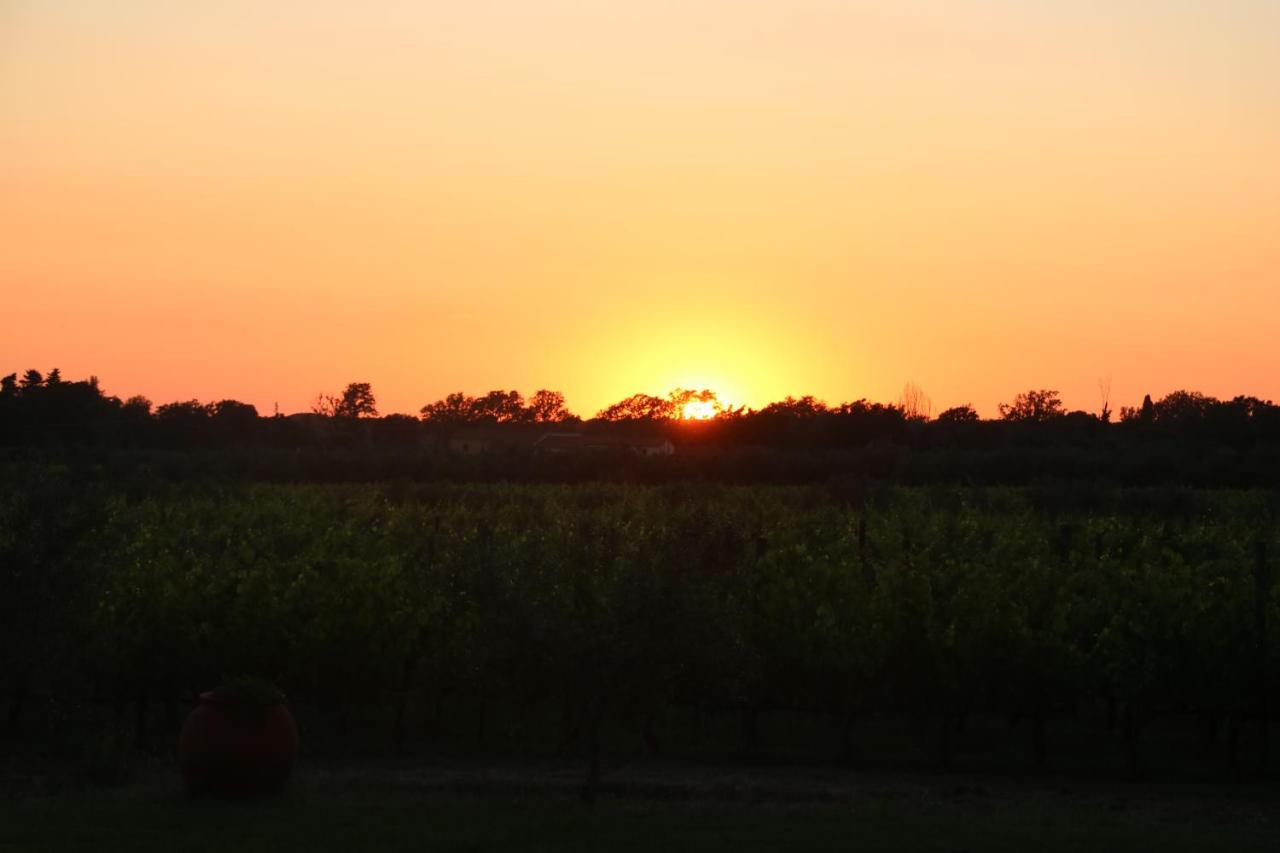 Podere Campo Alle Serpi 毕博纳 外观 照片