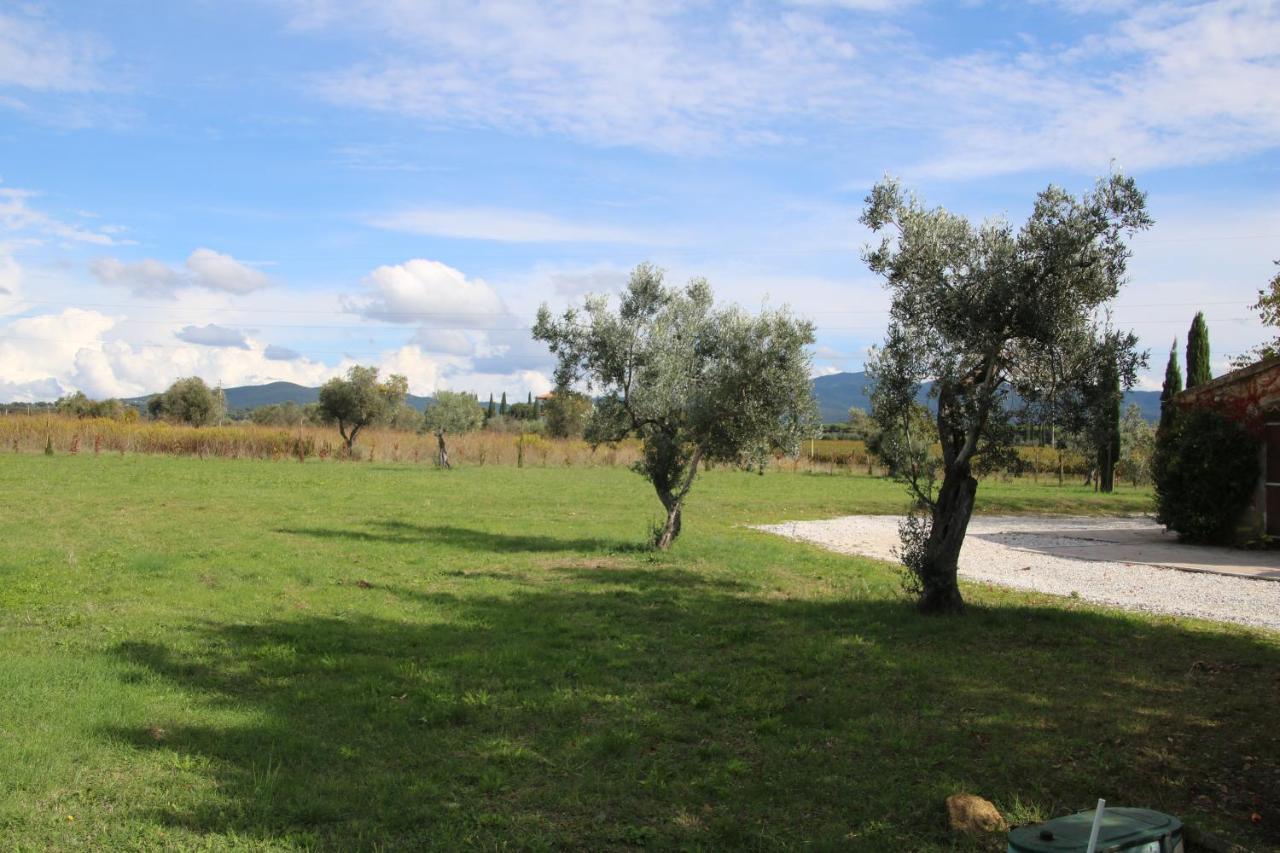 Podere Campo Alle Serpi 毕博纳 外观 照片