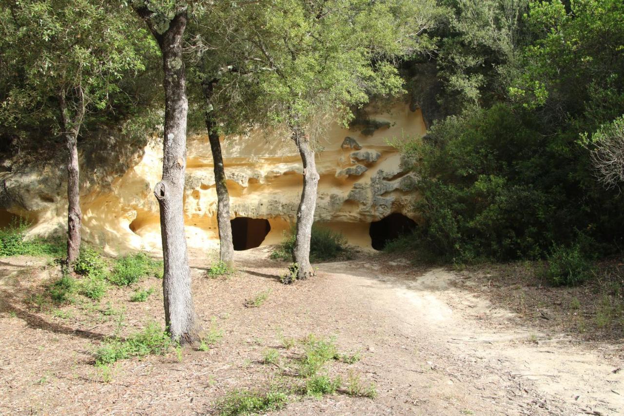 Podere Campo Alle Serpi 毕博纳 外观 照片