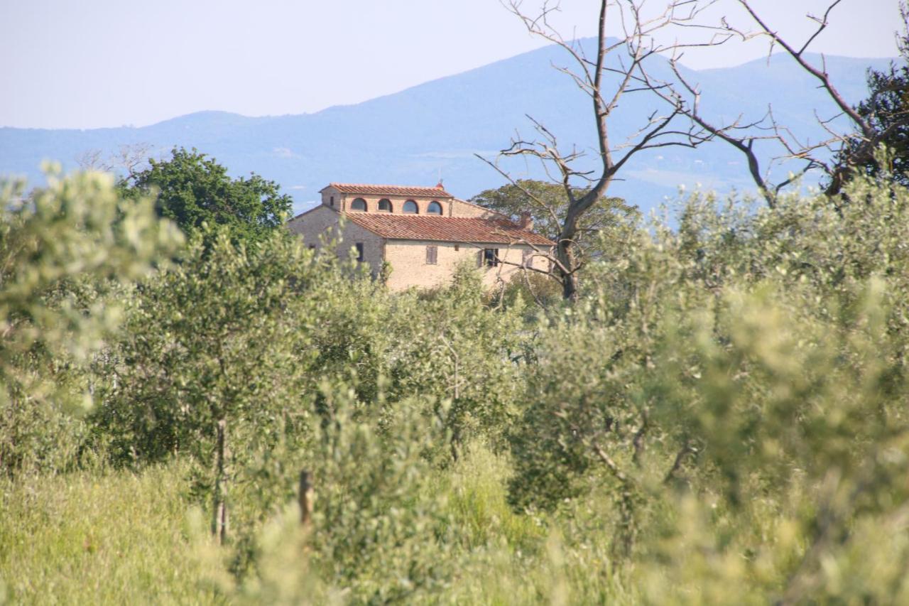 Podere Campo Alle Serpi 毕博纳 外观 照片