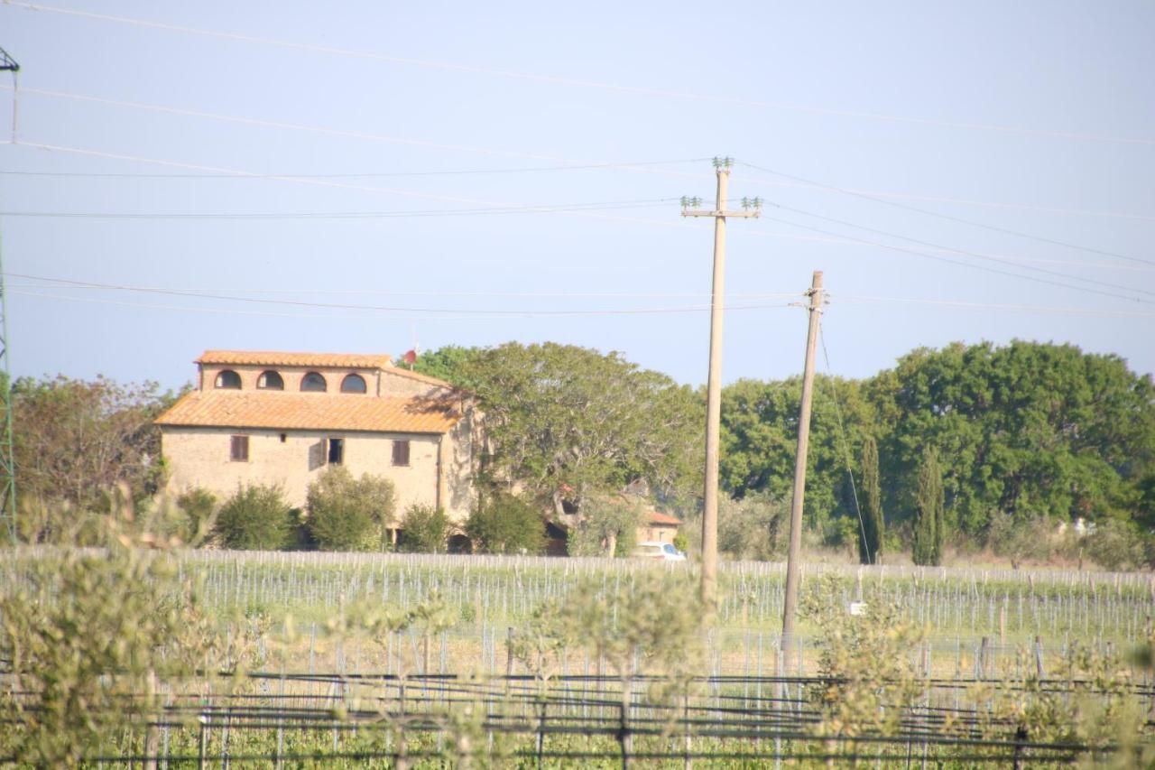 Podere Campo Alle Serpi 毕博纳 外观 照片