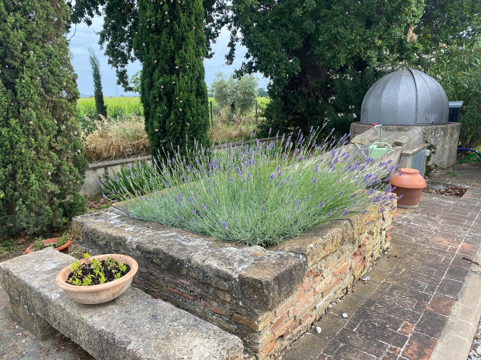 Podere Campo Alle Serpi 毕博纳 外观 照片