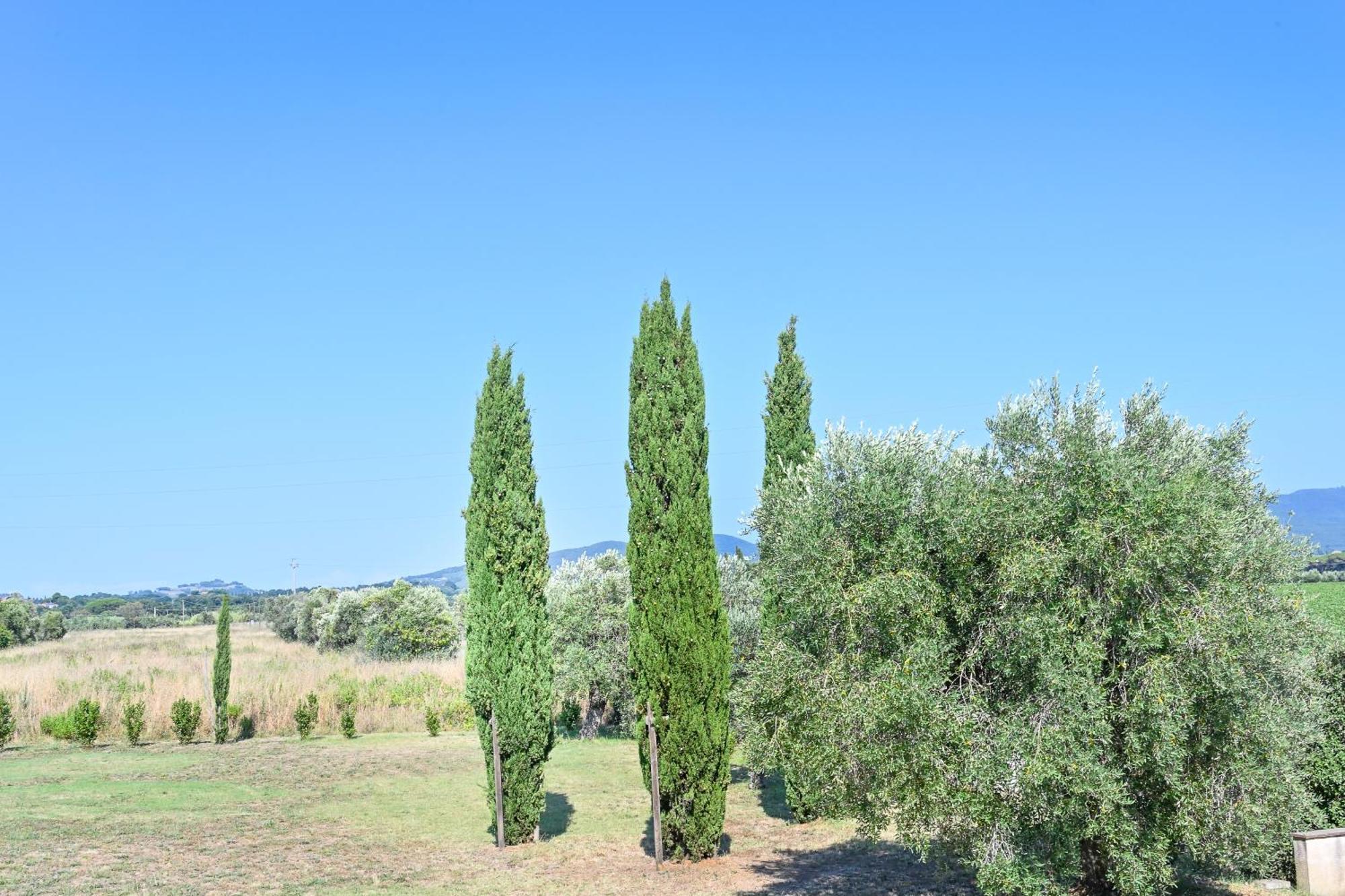 Podere Campo Alle Serpi 毕博纳 客房 照片
