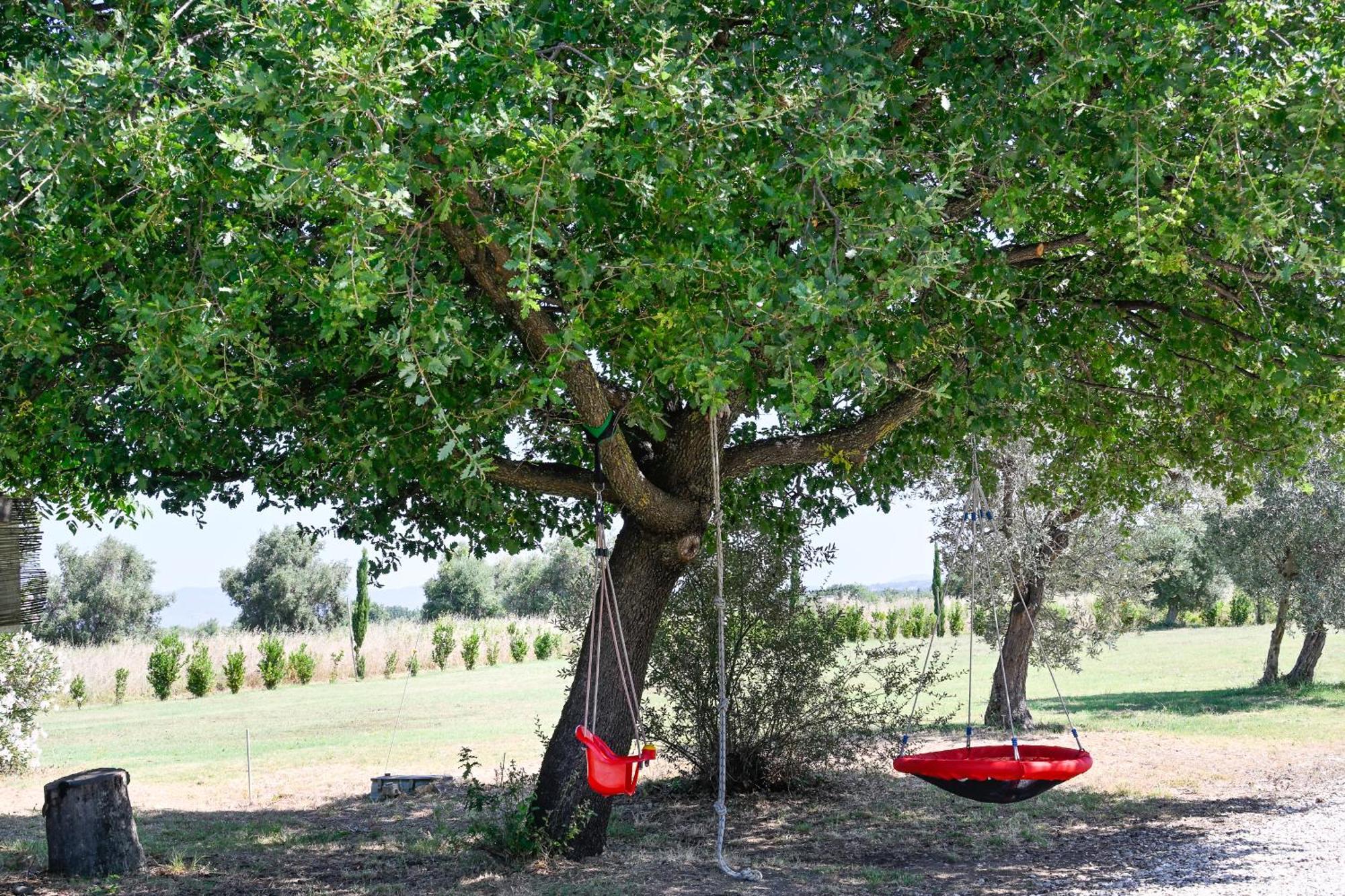 Podere Campo Alle Serpi 毕博纳 外观 照片